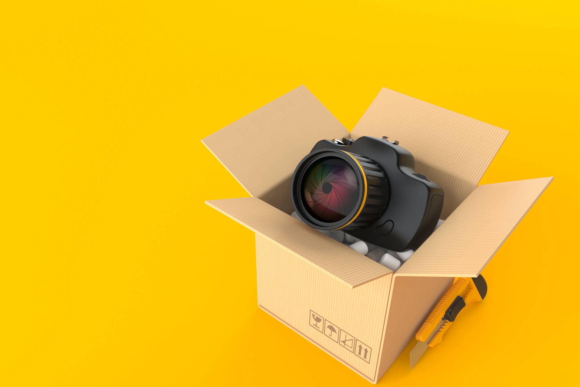 Digital camera delivered in a cardboard box